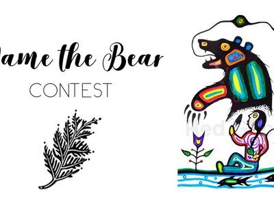 Name-The-Bear-Contest.png