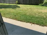 Grass and concrete patio area