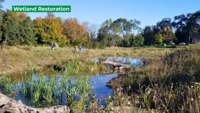 Wetland restoration project