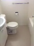 sink, toilet and bath in bright bathroom