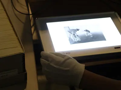 A-photographic-negative-of-people-playing-hockey-is-put-on-a-lightbox-at-Lambton-County-Archives.-web.jpg