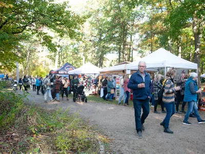 Visitors-browse-vendors-at-the-2024-Lambton-Fall-Colour--Craft-Festival.jpg