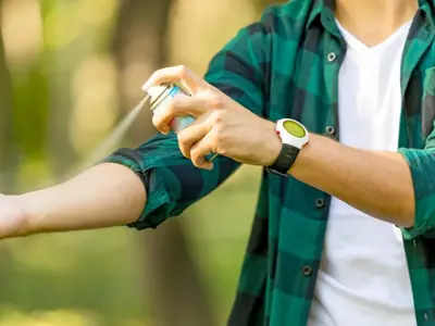 spray-insect-repellent.jpg