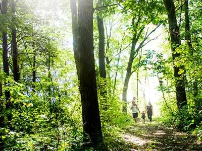 Woodland-Heritage-Trail-web.png