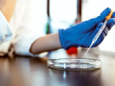 testing-petri-dish.jpg