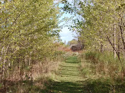 Perch-Creek-Habitat-MA---Parking-Lot-web.jpg
