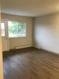 Bright and spacious living room