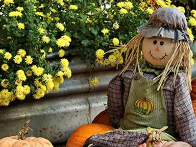 Lambton-Fall-Colour-and-Craft-Festival-web.png