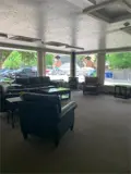 Chairs and couches in bright lounge with large windows